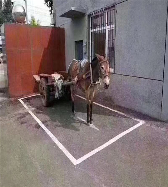 驴车车位